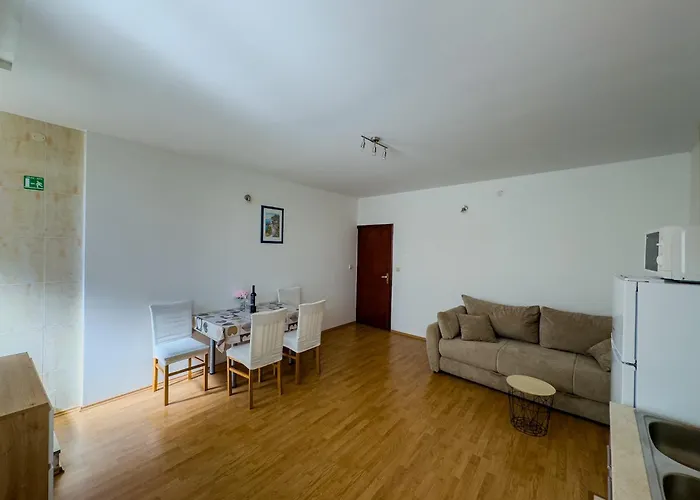 Marin Tomas 杜布罗夫尼克