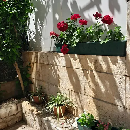 Marin Tomas アパート