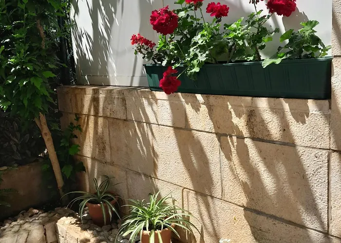 Marin Tomas Apartman